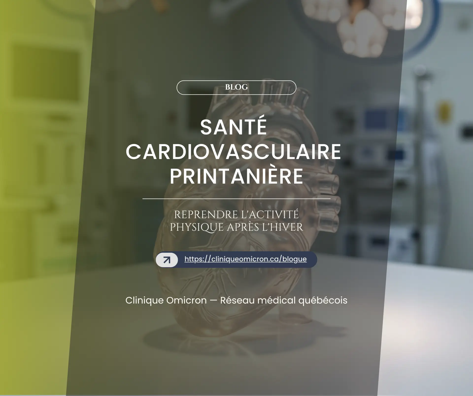 Mod&egrave;le de c&oelig;ur humain en arri&egrave;re-plan d'un environnement m&eacute;dical moderne, illustrant des conseils sur la sant&eacute; cardiovasculaire et l'activit&eacute; physique au printemps, en lien avec les services de la Clinique Omicron.
