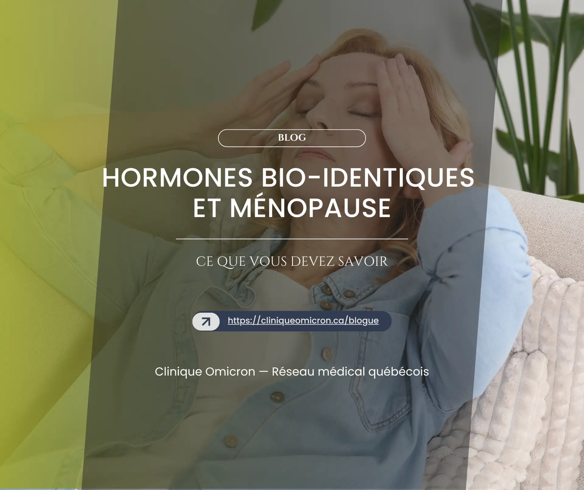 Hormones Bio identiques Et M nopause Ce Que Vous Devez Savoir hormones-bio-identiques-et-m-nopause-ce-que-vous-devez-savoir